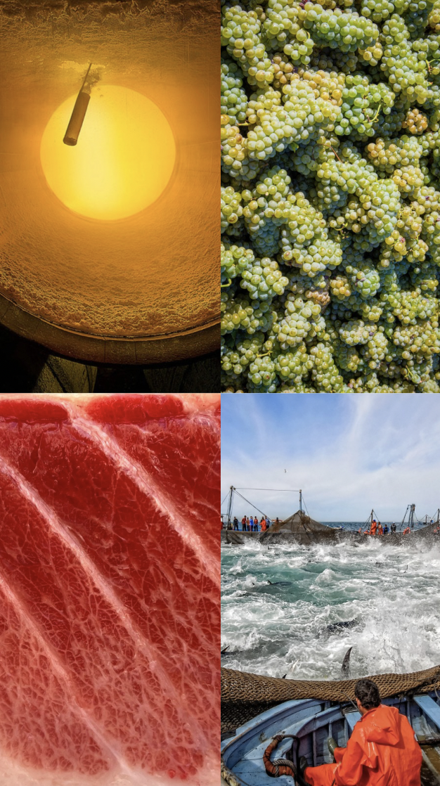 Captura de Pantalla 2024-06-05 a las 13.50.19