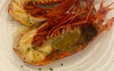 Artículo de Anatomía del gusto